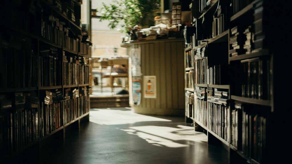 Bücherei Bücherregal Beispielbild