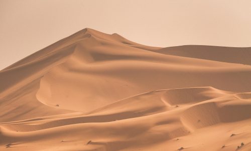Begleiter durch die Fastenzeit 2026