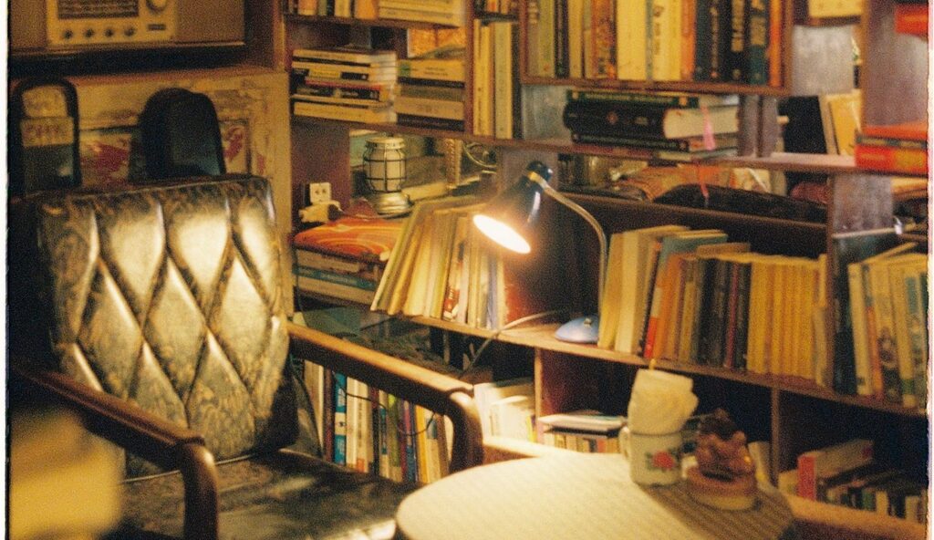 Bücherei Bücherregal Beispielbild